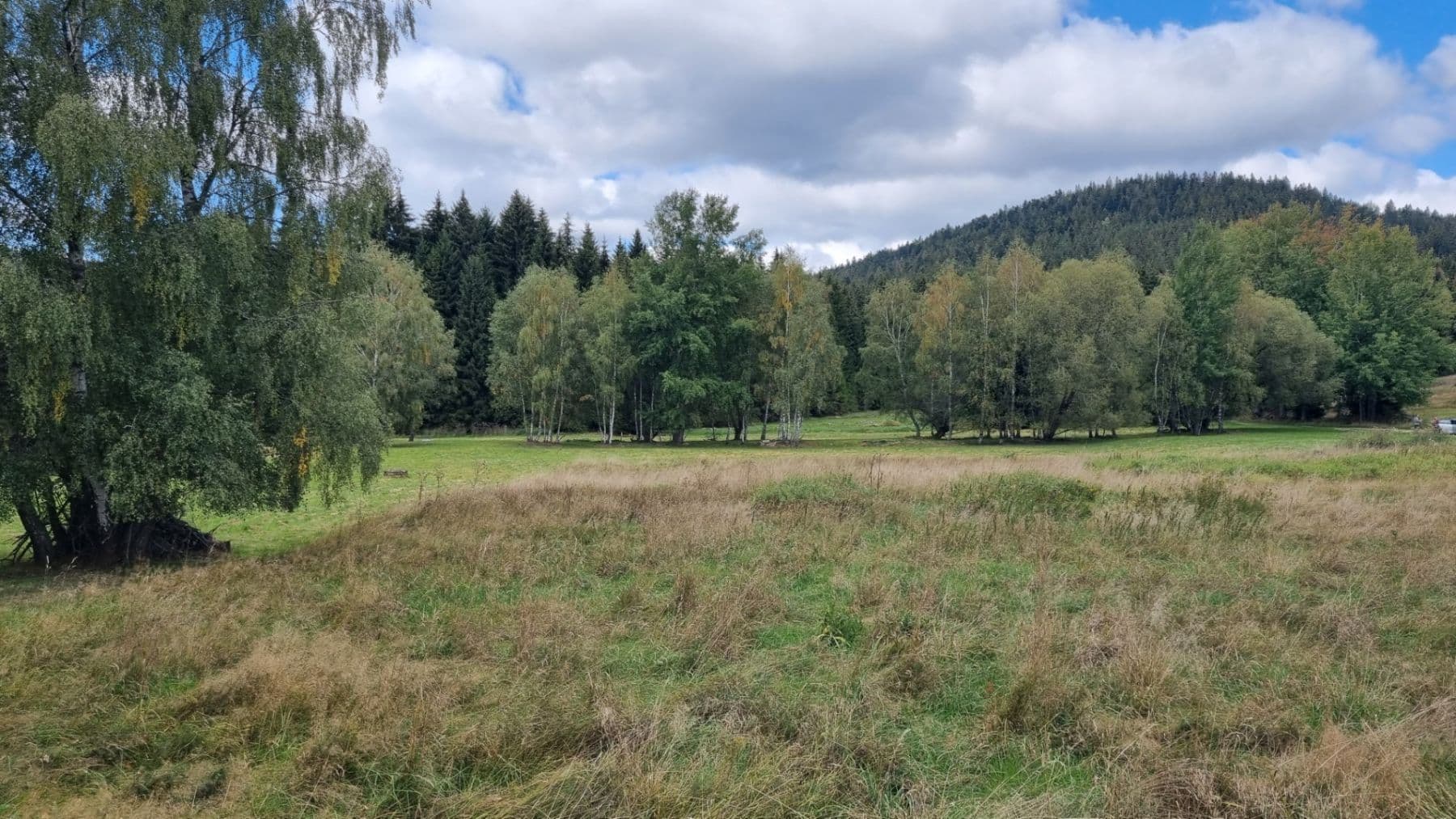 Predaj pozemku 3.812 m², Srní, Plzeňský kraj Predaj pozemku 3.812 m², Srní, Plzeňský kraj