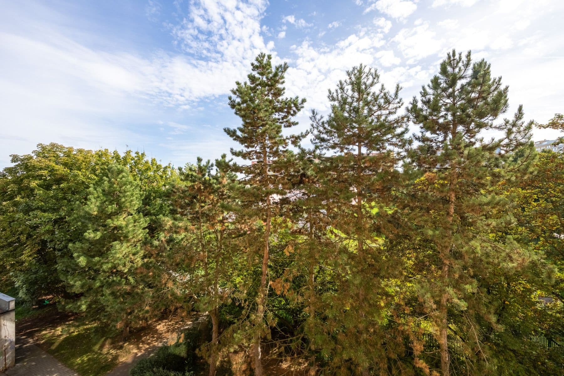 Predaj bytu 2-izbový 45 m², Kostřínská, Praha, Praha Predaj bytu 2-izbový 45 m², Kostřínská, Praha, Praha