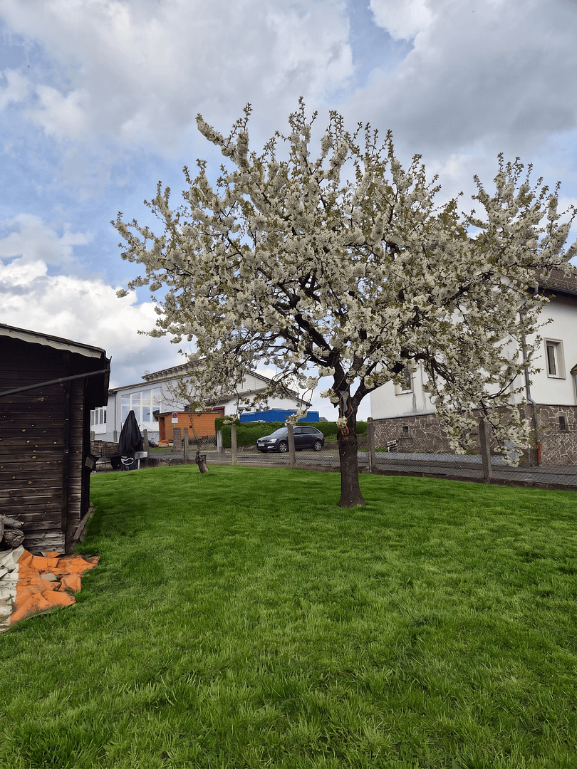 Predaj domu 136 m², pozemok 908 m², Fronhausen, Hesensko Predaj domu 136 m², pozemok 908 m², Fronhausen, Hesensko