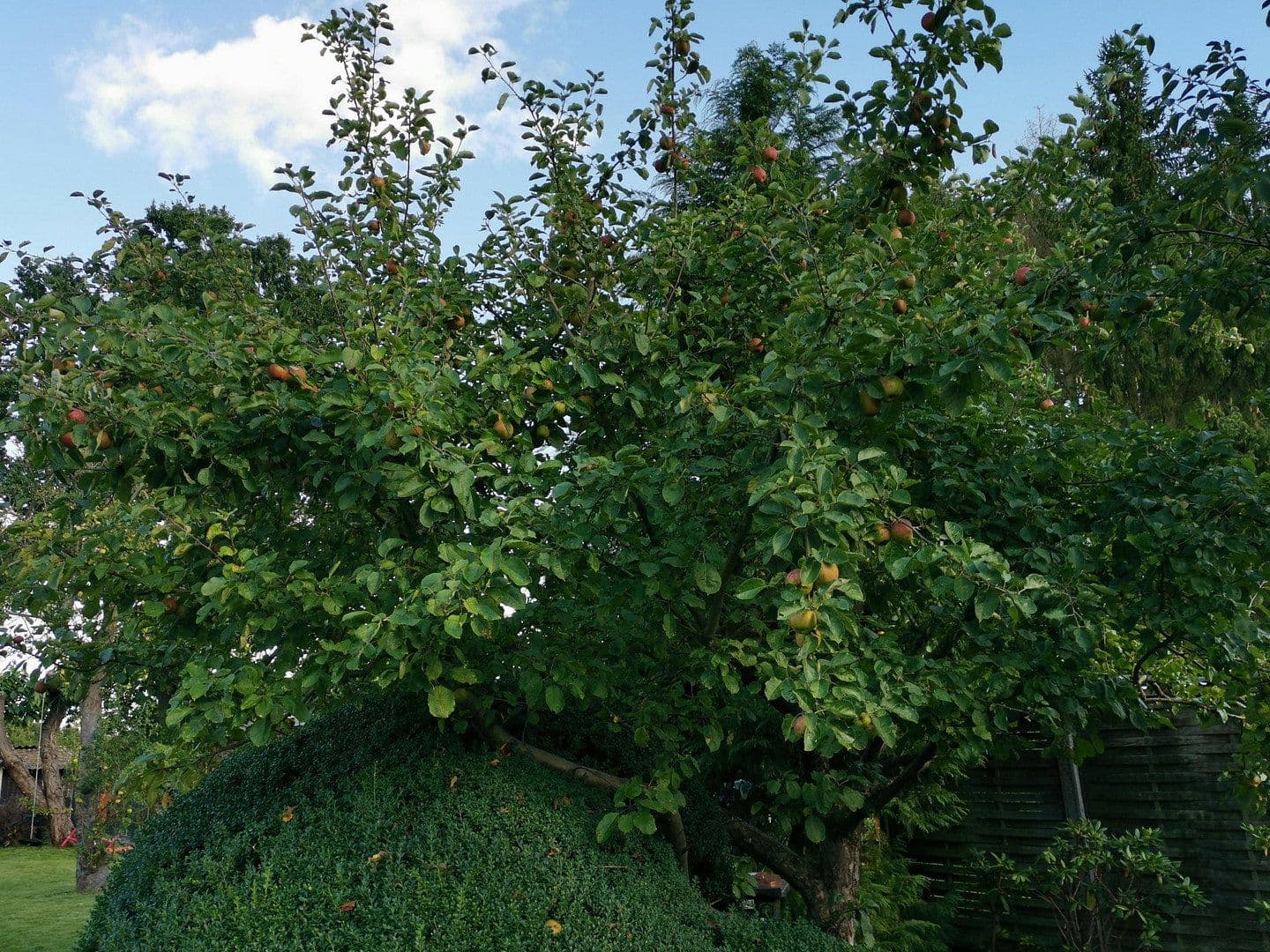 Predaj domu 200 m², pozemok 1.200 m², Hamfelde (Lauenburg), Šlezvicko-Holštajnsko Predaj domu 200 m², pozemok 1.200 m², Hamfelde (Lauenburg), Šlezvicko-Holštajnsko