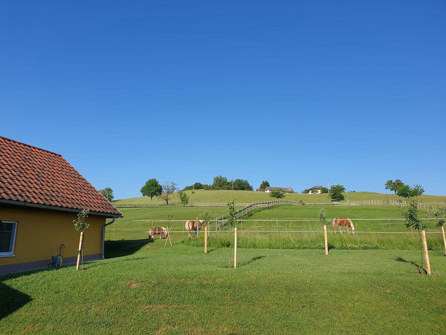 Predaj domu 245 m², pozemok 11.000 m², Kleinmürbisch 30, Kleinmürbisch, Burgenland Predaj domu 245 m², pozemok 11.000 m², Kleinmürbisch 30, Kleinmürbisch, Burgenland