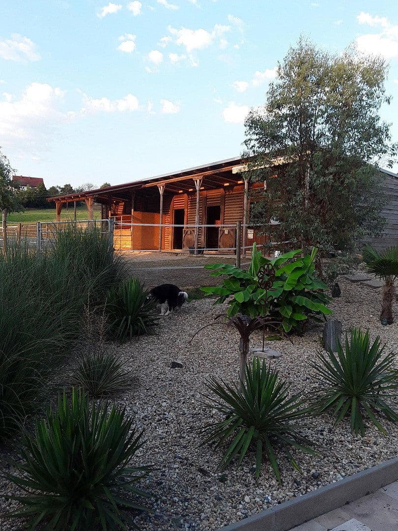 Predaj domu 245 m², pozemok 11.000 m², Kleinmürbisch 30, Kleinmürbisch, Burgenland Predaj domu 245 m², pozemok 11.000 m², Kleinmürbisch 30, Kleinmürbisch, Burgenland