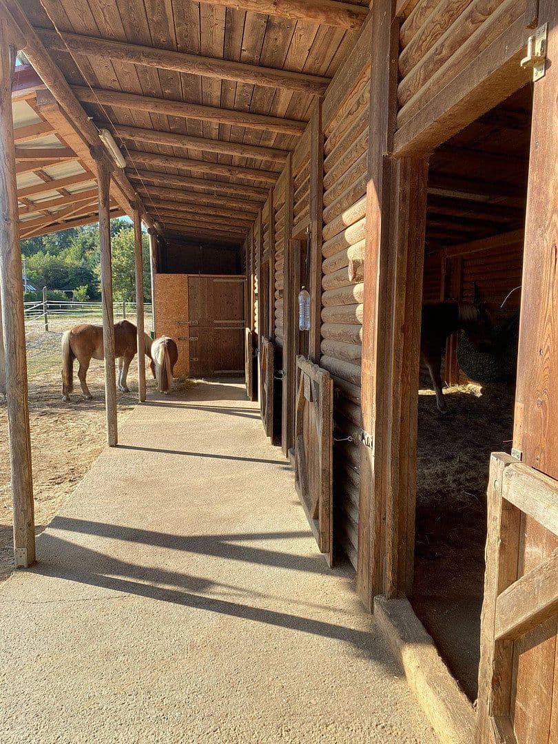 Predaj domu 245 m², pozemok 11.000 m², Kleinmürbisch 30, Kleinmürbisch, Burgenland Predaj domu 245 m², pozemok 11.000 m², Kleinmürbisch 30, Kleinmürbisch, Burgenland