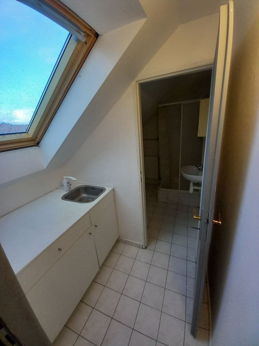 Prenájom bytu 1-izbový 32 m², Bělohorská, Praha, Praha Prenájom bytu 1-izbový 32 m², Bělohorská, Praha, Praha