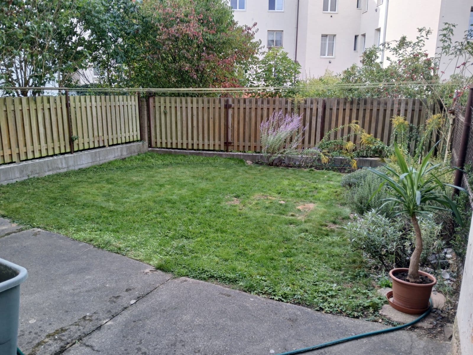 Prenájom bytu 1-izbový 50 m², Gruzínská, Plzeň, Plzeňský kraj Prenájom bytu 1-izbový 50 m², Gruzínská, Plzeň, Plzeňský kraj