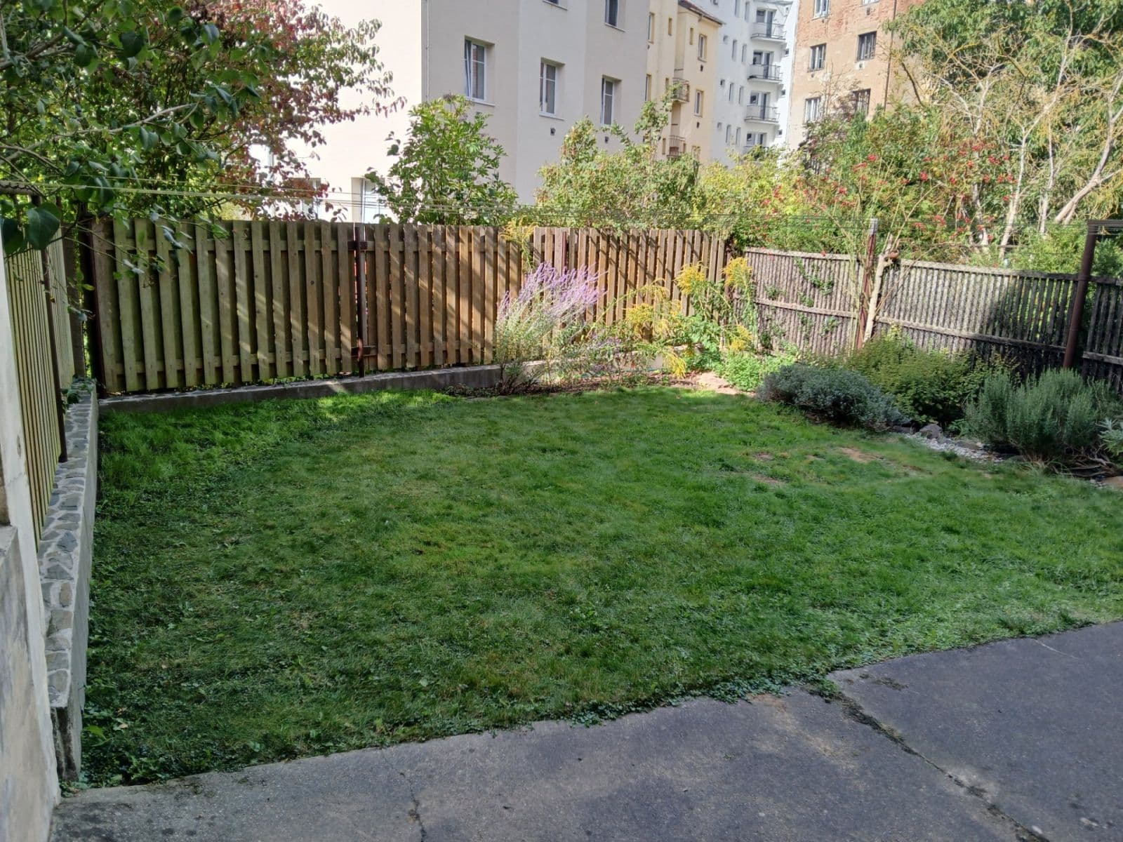 Prenájom bytu 1-izbový 50 m², Gruzínská, Plzeň, Plzeňský kraj Prenájom bytu 1-izbový 50 m², Gruzínská, Plzeň, Plzeňský kraj