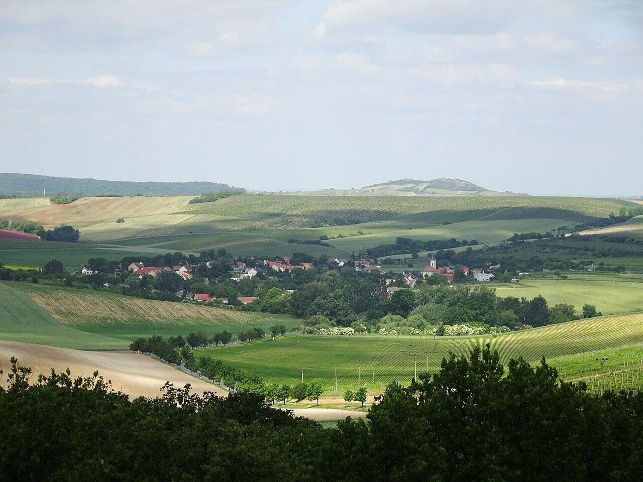 Predaj pozemku 447 m², Valtice, Jihomoravský kraj Predaj pozemku 447 m², Valtice, Jihomoravský kraj