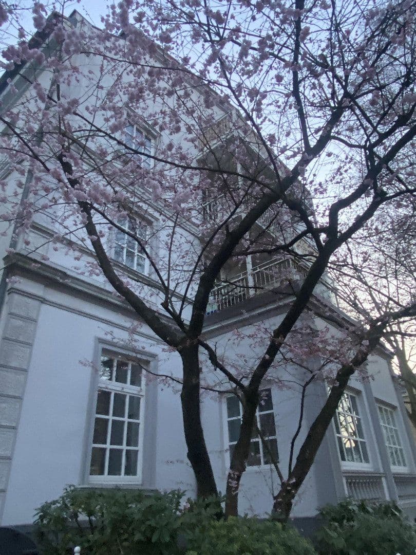Prenájom bytu 3-izbový 80 m², Wiesenstraße 47, Hamburg, Hamburg Prenájom bytu 3-izbový 80 m², Wiesenstraße 47, Hamburg, Hamburg