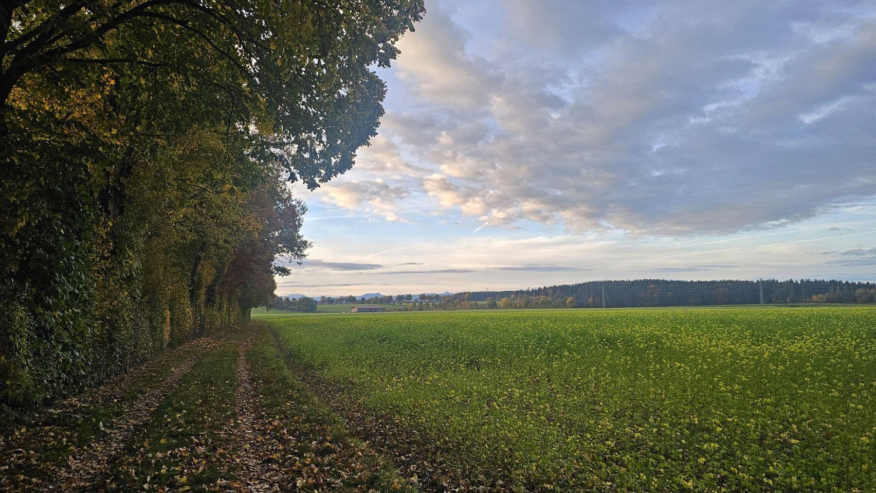 Prenájom bytu 3-izbový 97 m², Otterfing, Bavorsko Prenájom bytu 3-izbový 97 m², Otterfing, Bavorsko