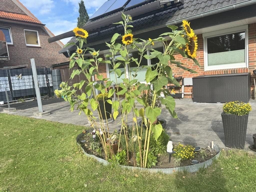 Predaj domu 112 m², pozemok 663 m², Kaltenkirchen, Šlezvicko-Holštajnsko Predaj domu 112 m², pozemok 663 m², Kaltenkirchen, Šlezvicko-Holštajnsko