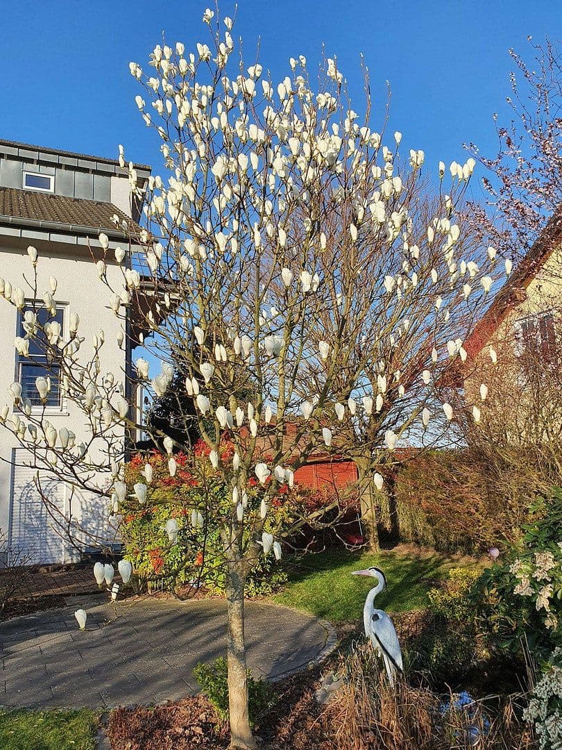 Predaj domu 260 m², pozemok 634 m², Lohmar, Severné Porýnie - Westfálsko Predaj domu 260 m², pozemok 634 m², Lohmar, Severné Porýnie - Westfálsko