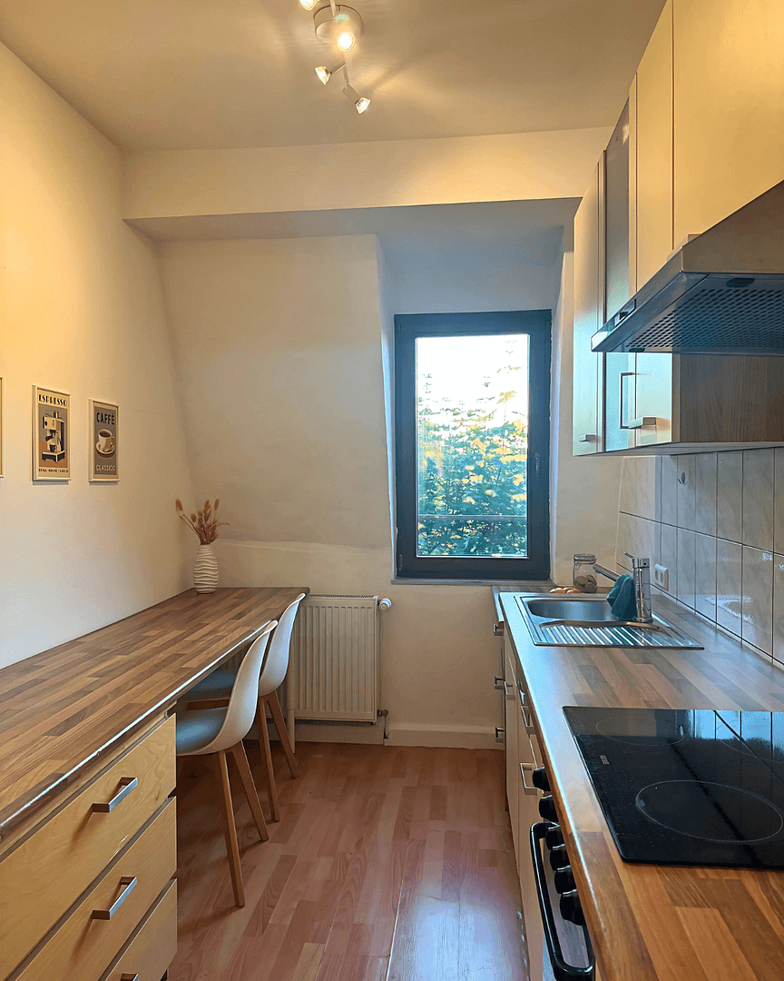 Prenájom bytu 18 m², Paumgartnerstraße 26, Nürnberg-Gostenhof, Bavorsko Prenájom bytu 18 m², Paumgartnerstraße 26, Nürnberg-Gostenhof, Bavorsko