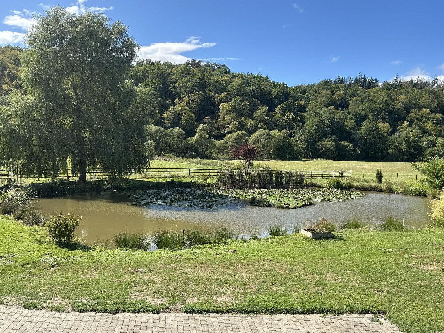 Predaj domu 140 m², pozemok 47.200 m², Kirchberg, Porýnie-Falcko Predaj domu 140 m², pozemok 47.200 m², Kirchberg, Porýnie-Falcko