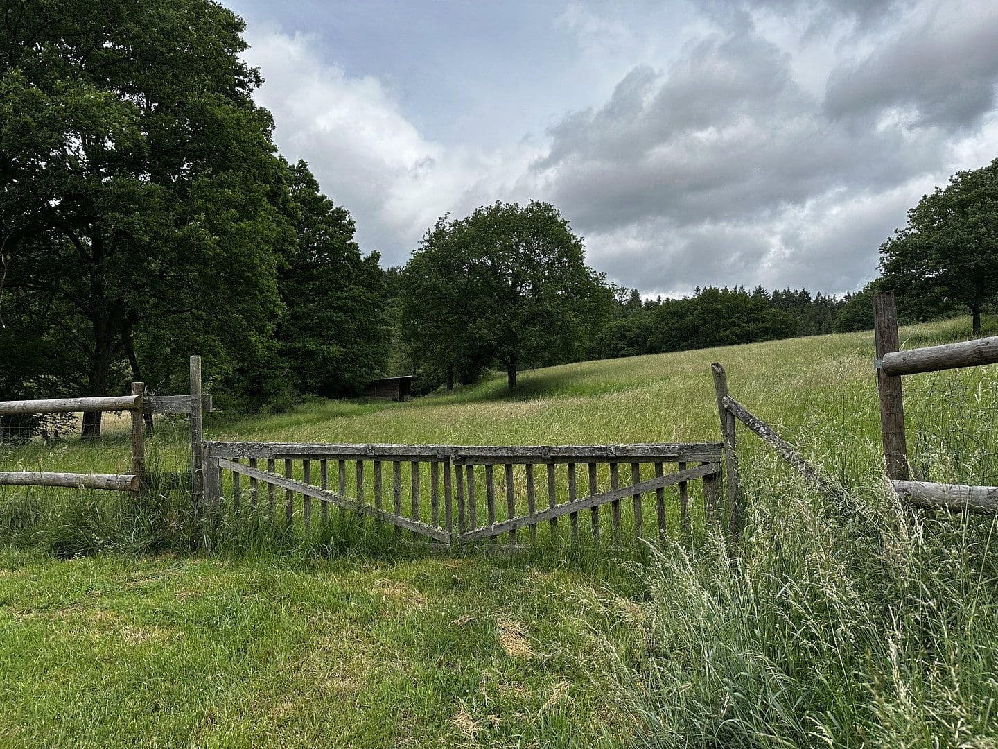 Predaj domu 140 m², pozemok 47.200 m², Kirchberg, Porýnie-Falcko Predaj domu 140 m², pozemok 47.200 m², Kirchberg, Porýnie-Falcko