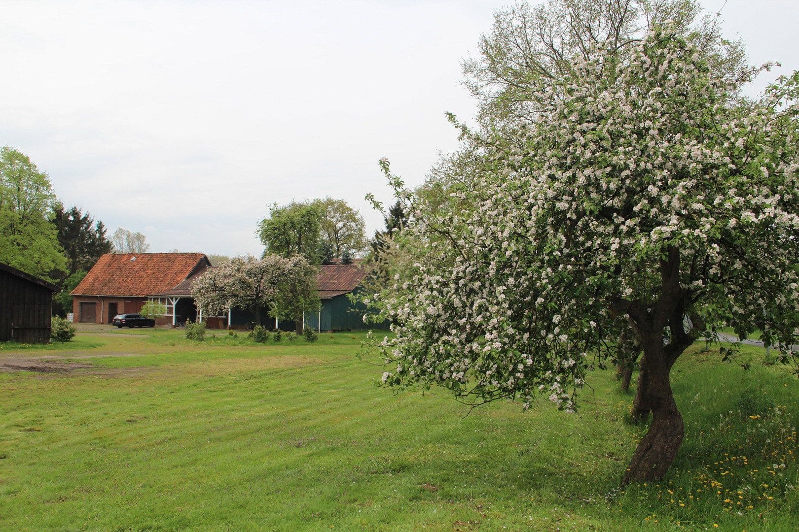 Predaj domu 135 m², pozemok 14.013 m², Bremervörde, Dolné Sasko Predaj domu 135 m², pozemok 14.013 m², Bremervörde, Dolné Sasko