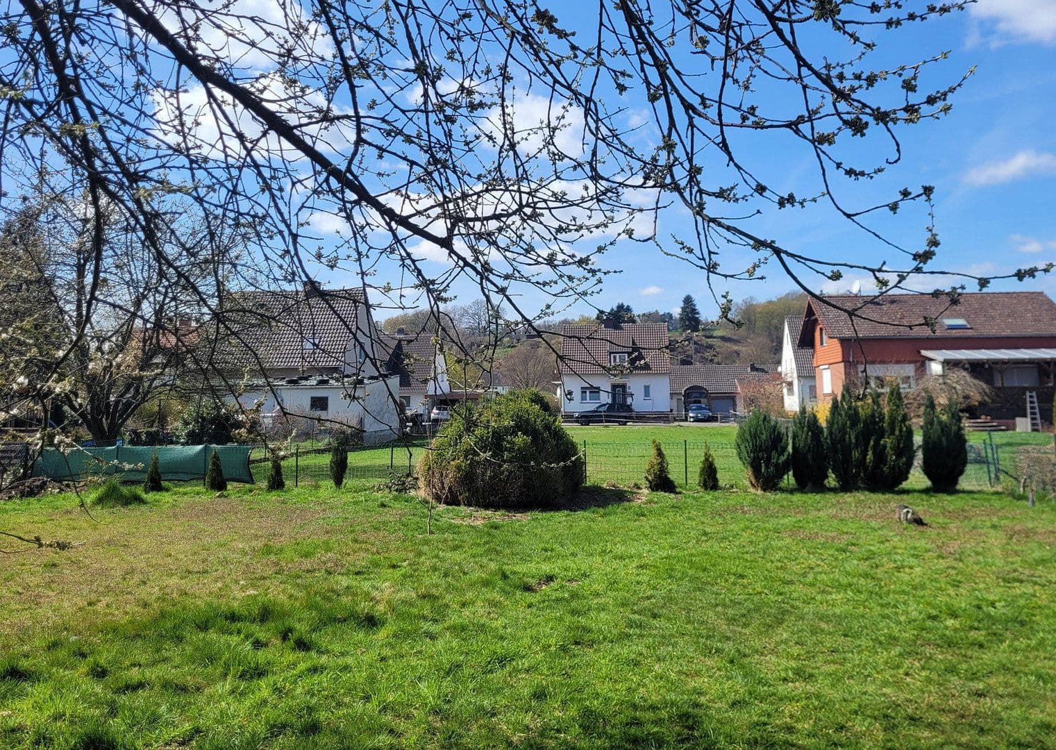 Predaj domu 155 m², pozemok 1.002 m², Bodenfelde, Dolné Sasko Predaj domu 155 m², pozemok 1.002 m², Bodenfelde, Dolné Sasko
