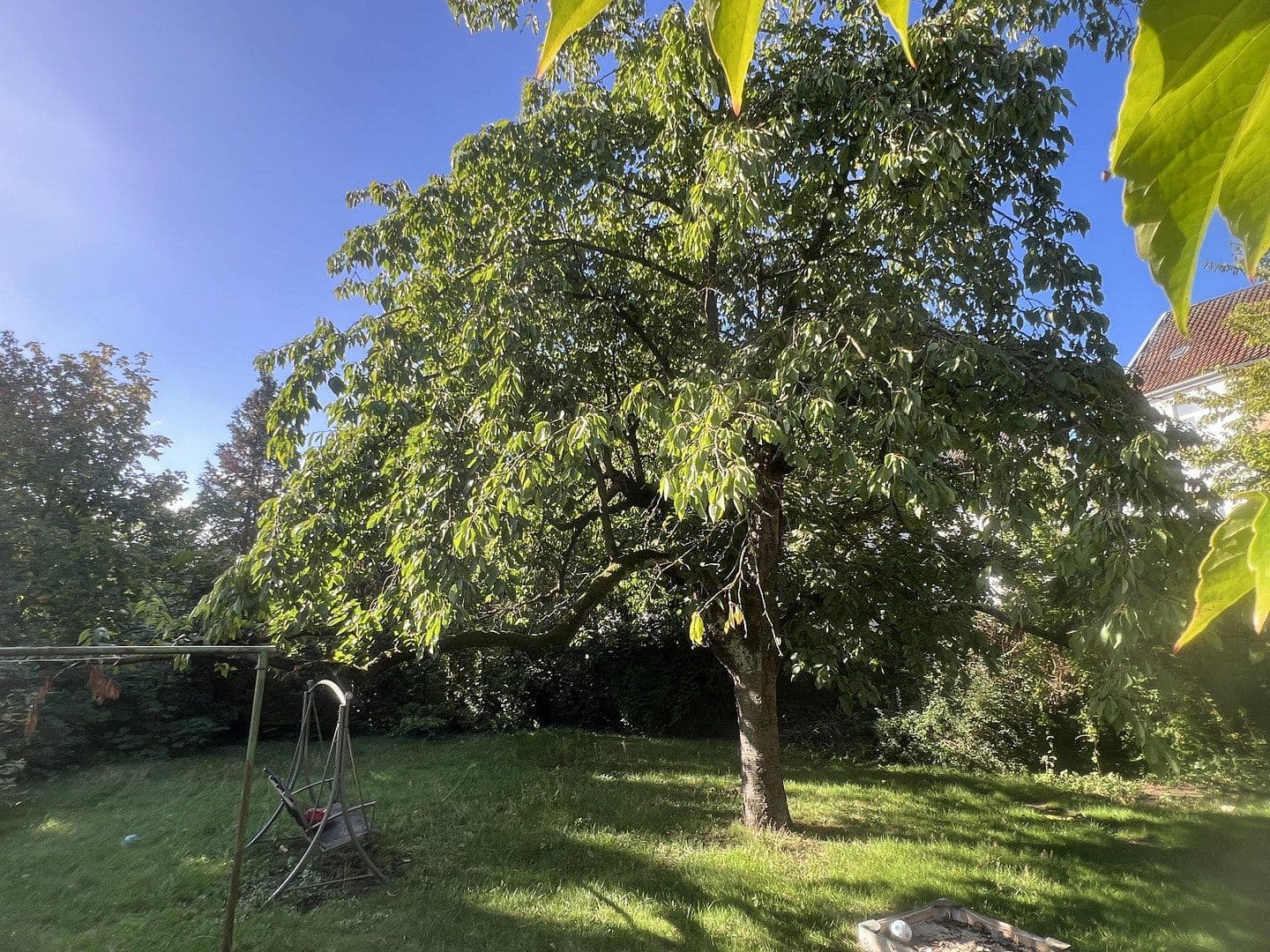 Predaj domu 334 m², pozemok 1.268 m², Hannoversche Straße 30, Seelze, Dolné Sasko Predaj domu 334 m², pozemok 1.268 m², Hannoversche Straße 30, Seelze, Dolné Sasko
