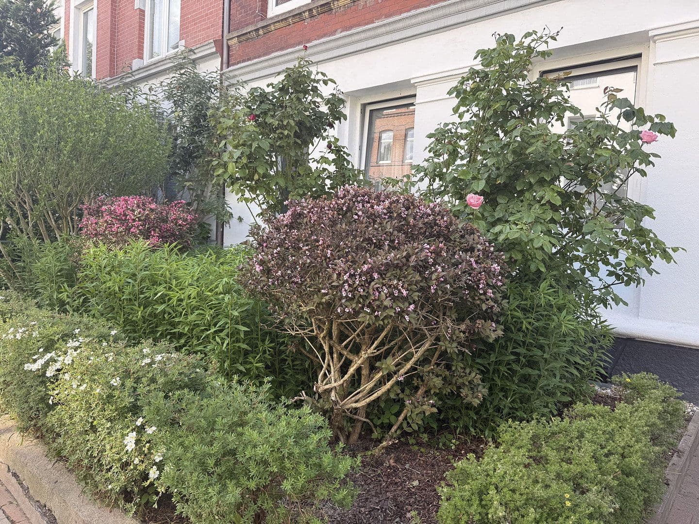 Prenájom bytu 2-izbový 47 m², Fockstrasse 26, Kiel, Šlezvicko-Holštajnsko Prenájom bytu 2-izbový 47 m², Fockstrasse 26, Kiel, Šlezvicko-Holštajnsko
