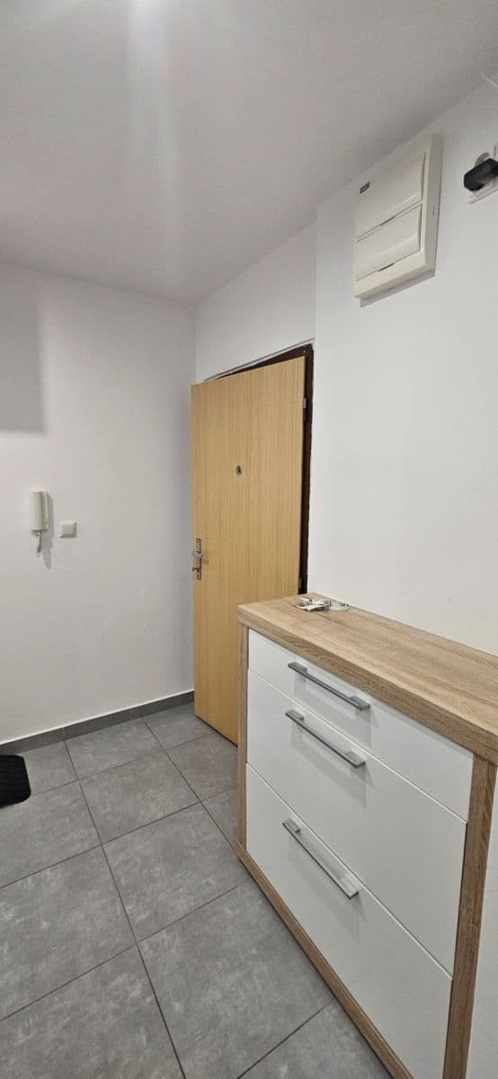 Prenájom bytu 1-izbový 46 m², Dědinova, Praha, Praha Prenájom bytu 1-izbový 46 m², Dědinova, Praha, Praha