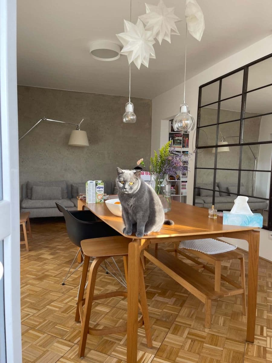 Predaj bytu 4-izbový 87 m², Ševcovská, Zlín, Zlínský kraj Predaj bytu 4-izbový 87 m², Ševcovská, Zlín, Zlínský kraj