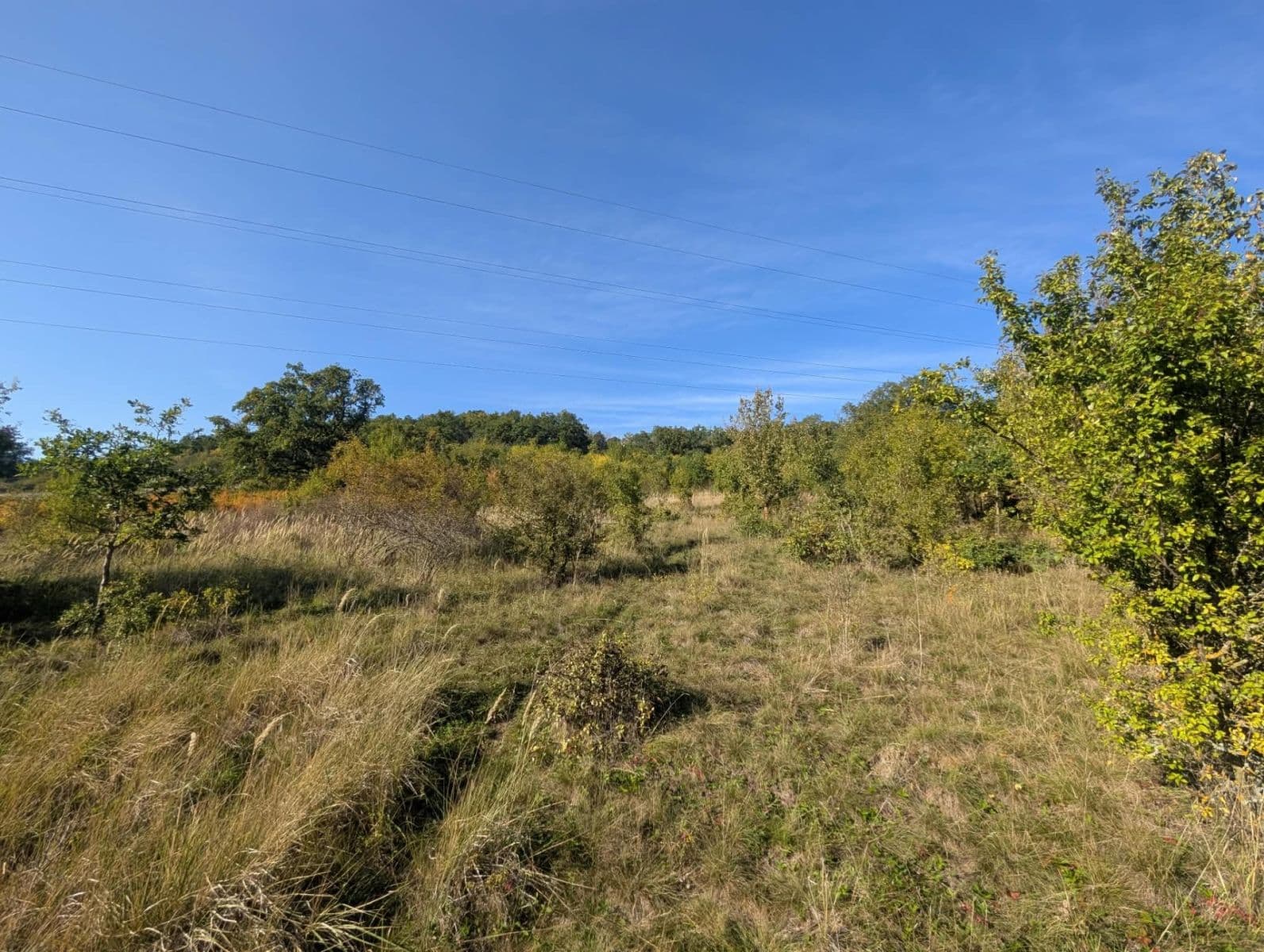 Predaj pozemku 22.542 m², Korno, Středočeský kraj Predaj pozemku 22.542 m², Korno, Středočeský kraj