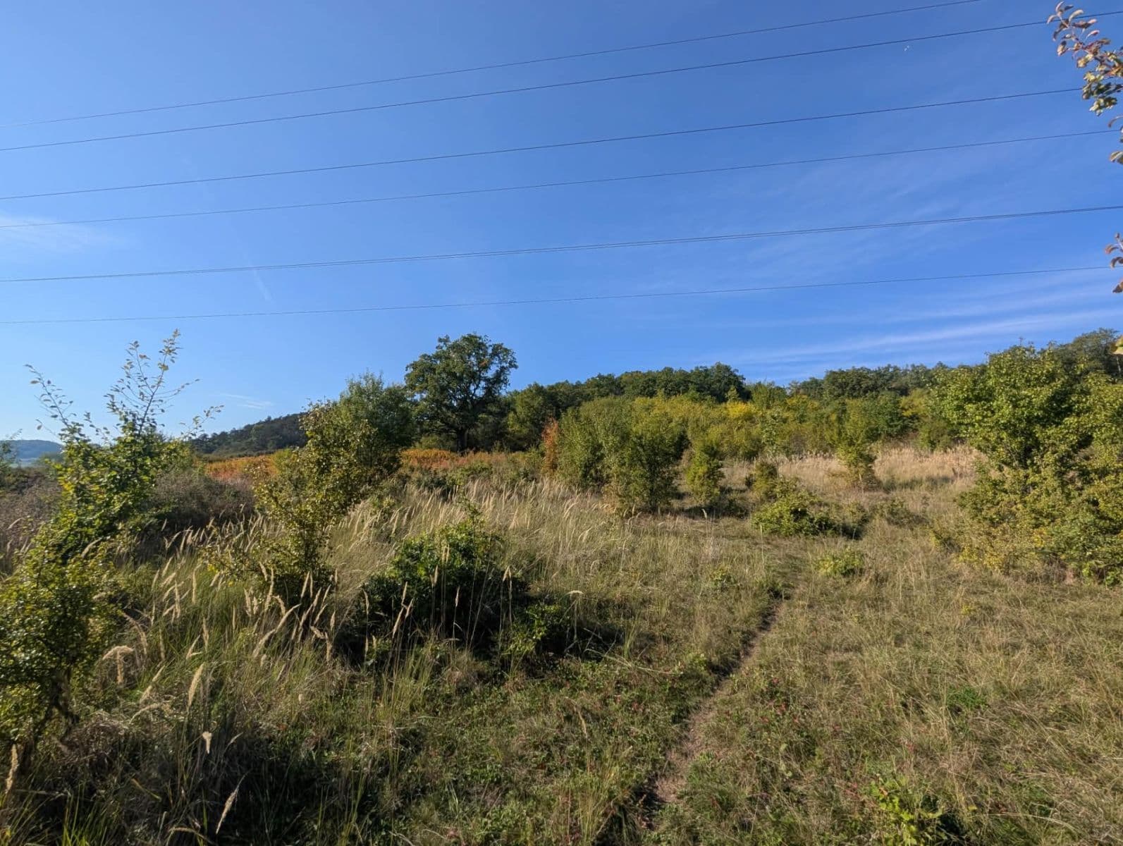 Predaj pozemku 22.542 m², Korno, Středočeský kraj Predaj pozemku 22.542 m², Korno, Středočeský kraj
