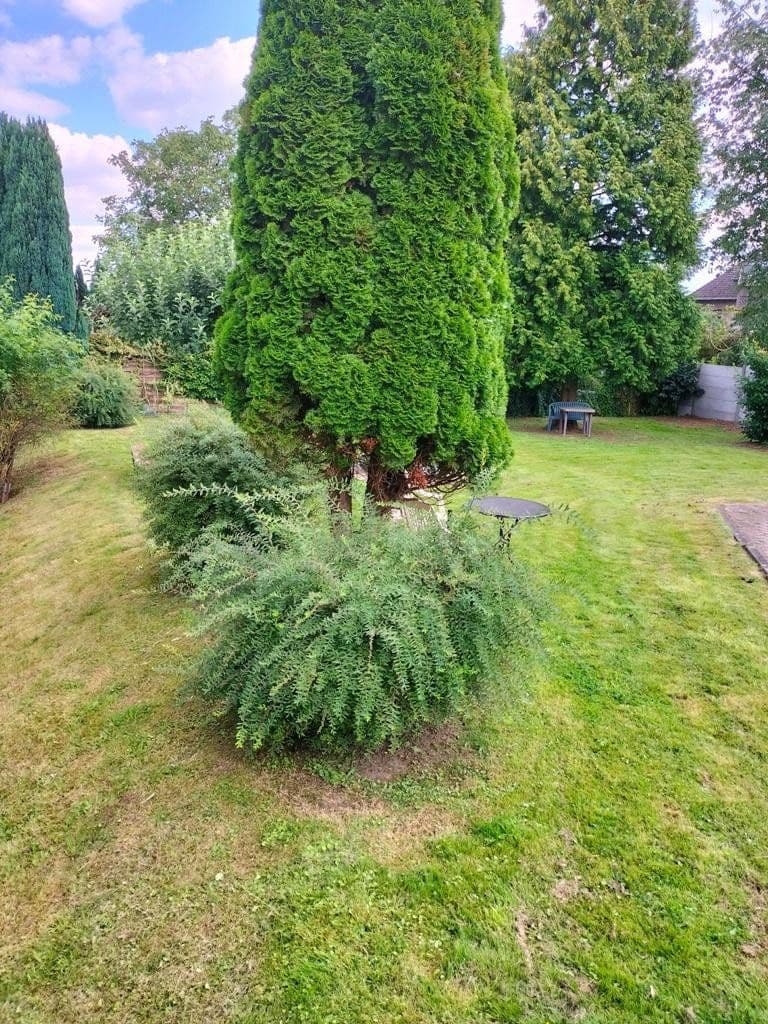 Prenájom bytu 1-izbový 35 m², Bleyerheider Sraße 26-28, Herzogenrath, Severné Porýnie - Westfálsko Prenájom bytu 1-izbový 35 m², Bleyerheider Sraße 26-28, Herzogenrath, Severné Porýnie - Westfálsko