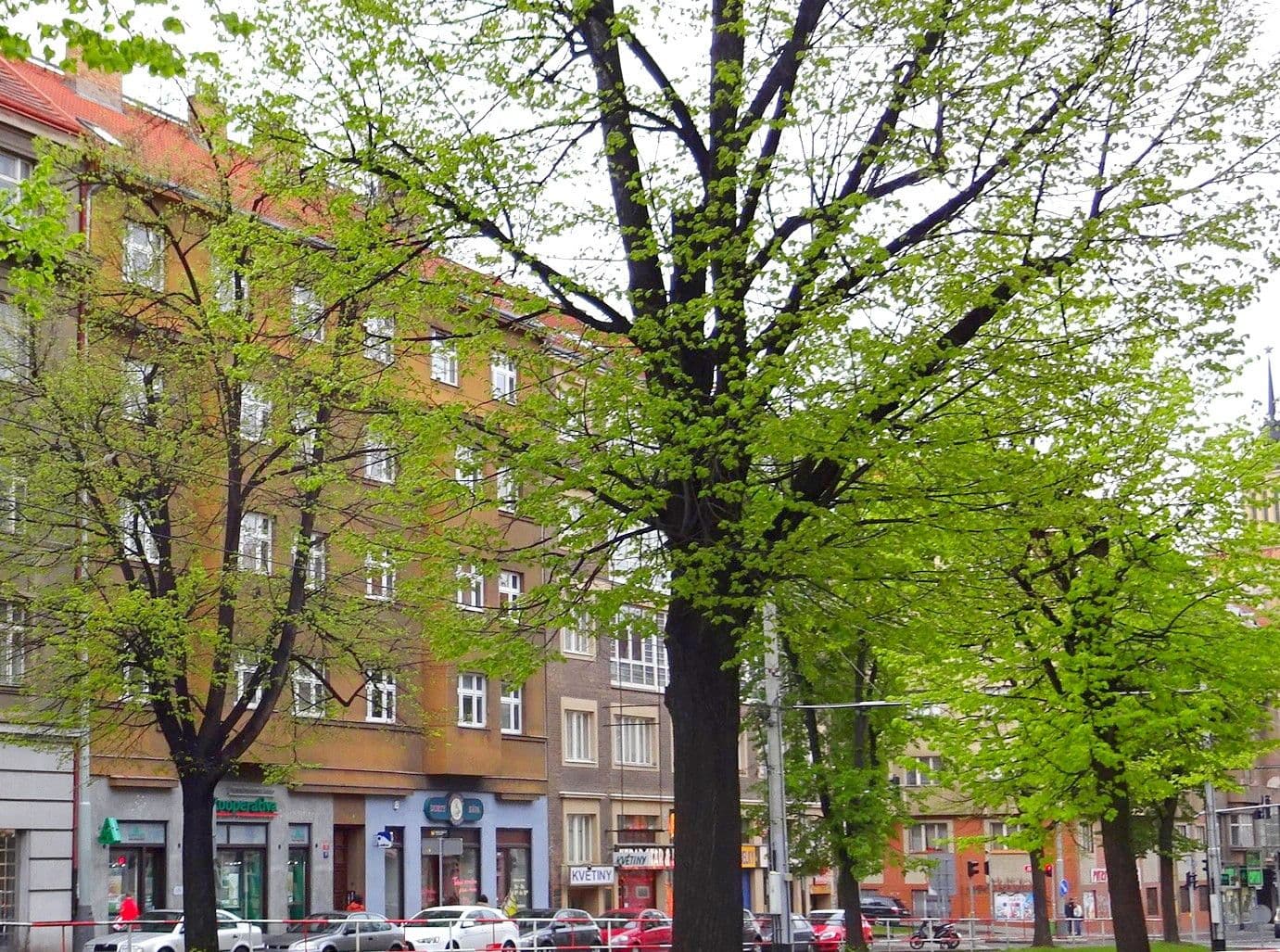 Prenájom bytu 2-izbový 58 m², Jugoslávských partyzánů, Praha, Praha Prenájom bytu 2-izbový 58 m², Jugoslávských partyzánů, Praha, Praha