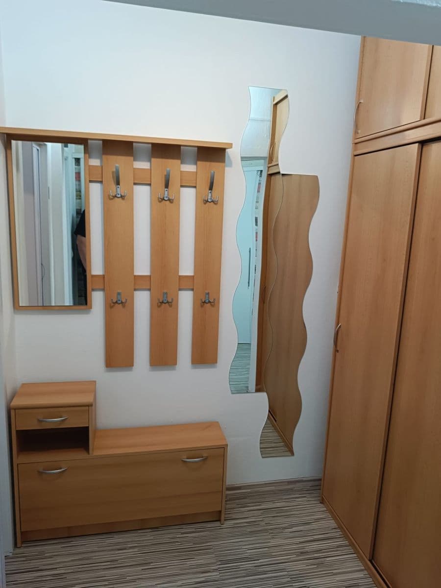 Prenájom bytu 2-izbový 44 m², Bednaříkova, Brno, Jihomoravský kraj Prenájom bytu 2-izbový 44 m², Bednaříkova, Brno, Jihomoravský kraj