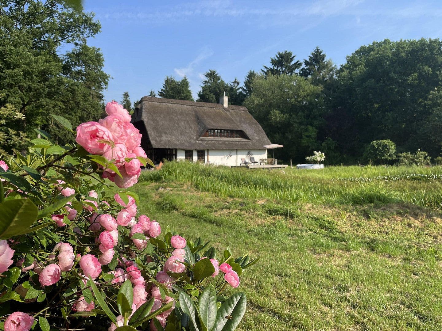 Predaj domu 200 m², pozemok 5.100 m², Dahldorfer Str. 27, Gnarrenburg, Dolné Sasko Predaj domu 200 m², pozemok 5.100 m², Dahldorfer Str. 27, Gnarrenburg, Dolné Sasko