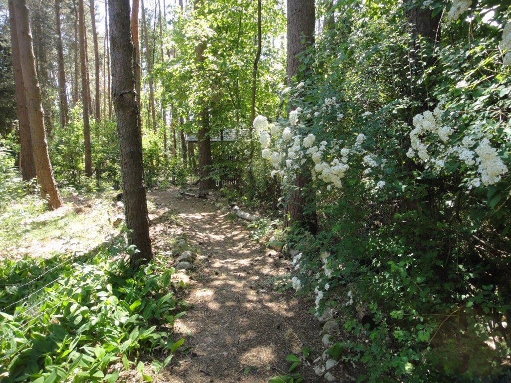 Predaj domu 110 m², pozemok 2.600 m², Hitzacker (Elbe), Dolné Sasko Predaj domu 110 m², pozemok 2.600 m², Hitzacker (Elbe), Dolné Sasko