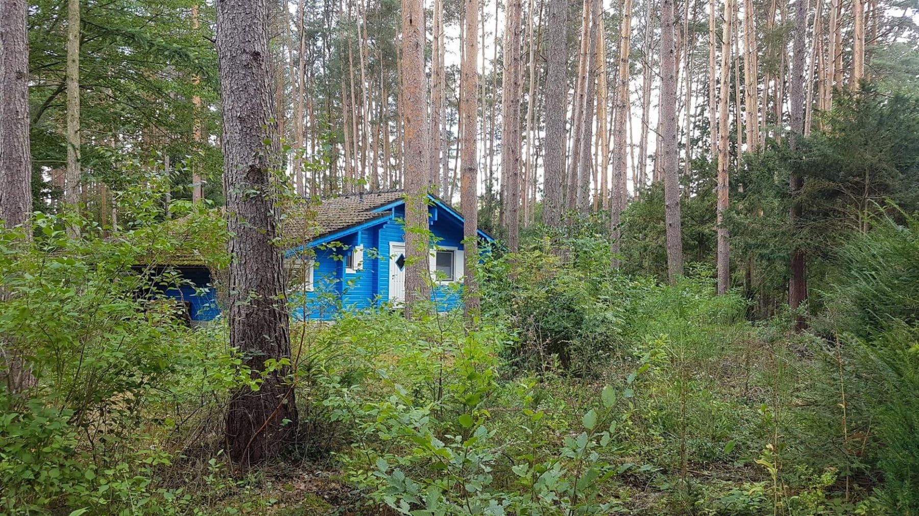 Predaj domu 110 m², pozemok 2.600 m², Hitzacker (Elbe), Dolné Sasko Predaj domu 110 m², pozemok 2.600 m², Hitzacker (Elbe), Dolné Sasko