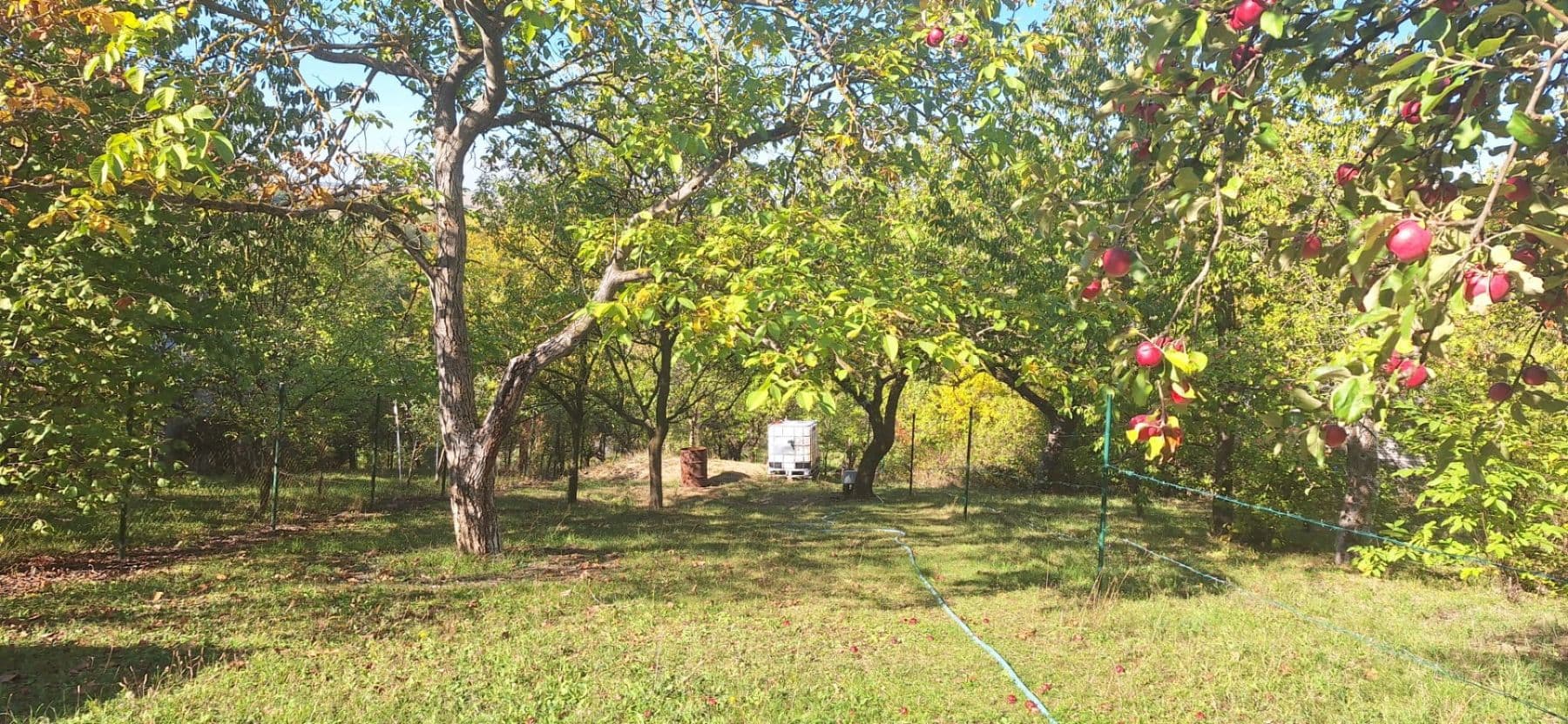 Predaj pozemku 1.623 m², Habrovany, Jihomoravský kraj Predaj pozemku 1.623 m², Habrovany, Jihomoravský kraj