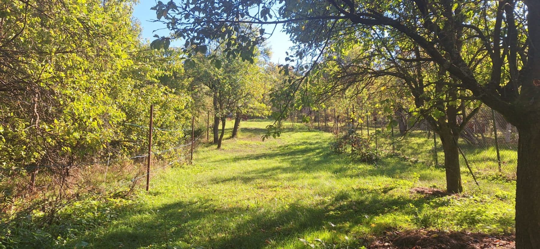 Predaj pozemku 1.623 m², Habrovany, Jihomoravský kraj Predaj pozemku 1.623 m², Habrovany, Jihomoravský kraj