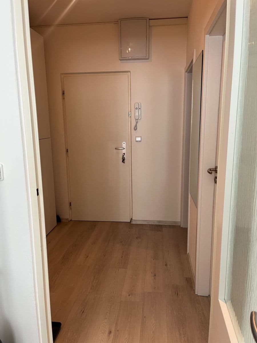 Prenájom bytu 1-izbový 30 m², Kosíkova, Brno, Jihomoravský kraj Prenájom bytu 1-izbový 30 m², Kosíkova, Brno, Jihomoravský kraj