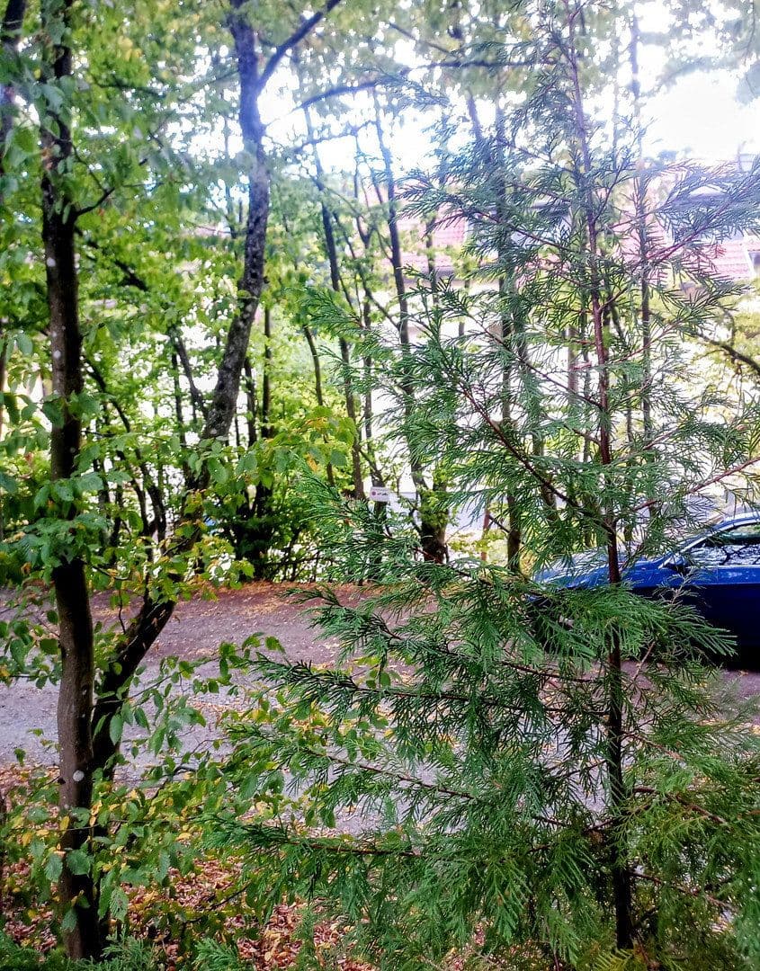 Predaj bytu 2-izbový 50 m², Oberursel (Taunus), Hesensko Predaj bytu 2-izbový 50 m², Oberursel (Taunus), Hesensko