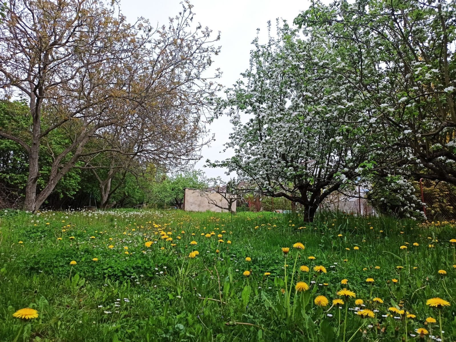 Predaj pozemku 800 m², Prokopa Holého, Hradec Králové, Královéhradecký kraj Predaj pozemku 800 m², Prokopa Holého, Hradec Králové, Královéhradecký kraj