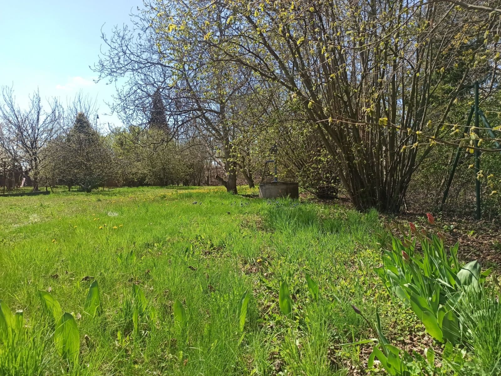 Predaj pozemku 800 m², Prokopa Holého, Hradec Králové, Královéhradecký kraj Predaj pozemku 800 m², Prokopa Holého, Hradec Králové, Královéhradecký kraj