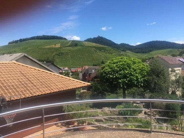 Predaj domu 400 m², pozemok 1.605 m², Baden-Baden, Bádensko-Wurttembersko Predaj domu 400 m², pozemok 1.605 m², Baden-Baden, Bádensko-Wurttembersko