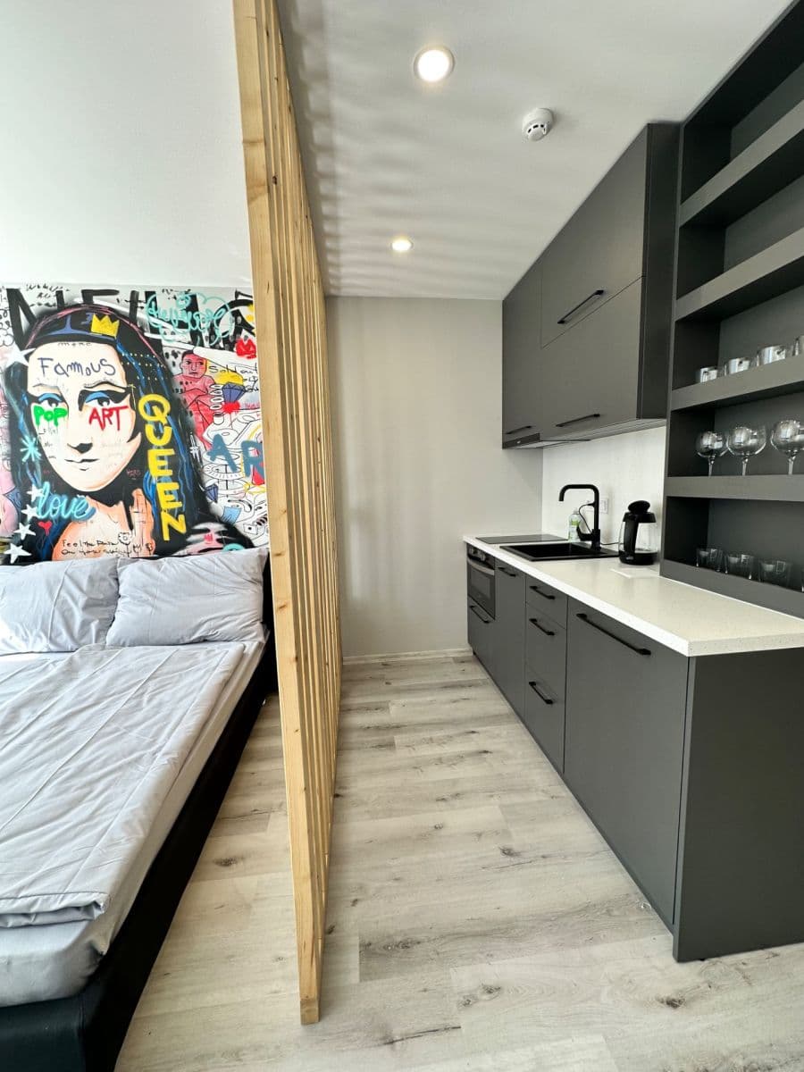Prenájom bytu 1-izbový 24 m², Děčínská, Praha, Praha Prenájom bytu 1-izbový 24 m², Děčínská, Praha, Praha