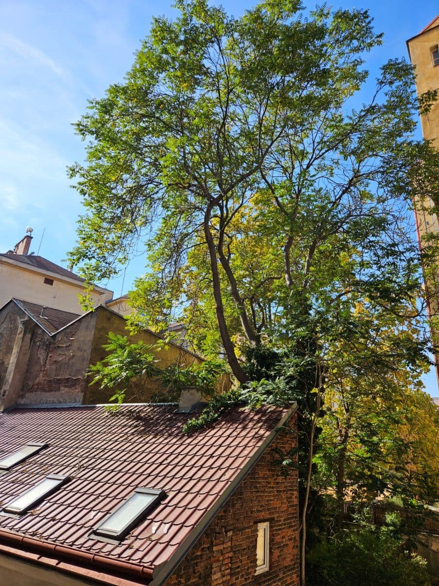 Prenájom bytu 2-izbový 65 m², Krásova, Praha, Praha Prenájom bytu 2-izbový 65 m², Krásova, Praha, Praha