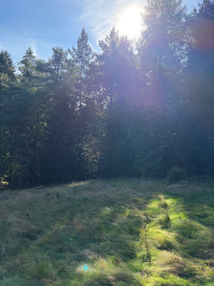 Prenájom pozemku 2.057 m², Frýdštejn, Liberecký kraj Prenájom pozemku 2.057 m², Frýdštejn, Liberecký kraj