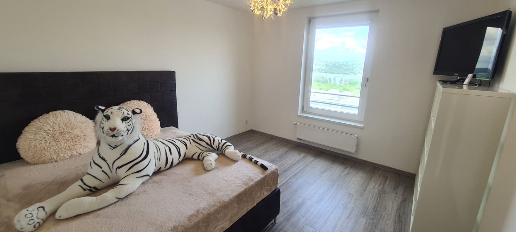 Prenájom bytu 5-izbový 122 m², Nad Přehradou, Brno, Jihomoravský kraj Prenájom bytu 5-izbový 122 m², Nad Přehradou, Brno, Jihomoravský kraj