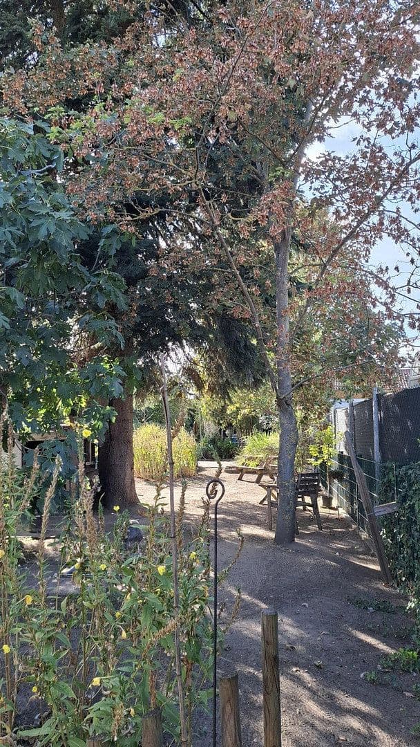 Predaj domu 456 m², pozemok 880 m², Lambsheim, Porýnie-Falcko Predaj domu 456 m², pozemok 880 m², Lambsheim, Porýnie-Falcko