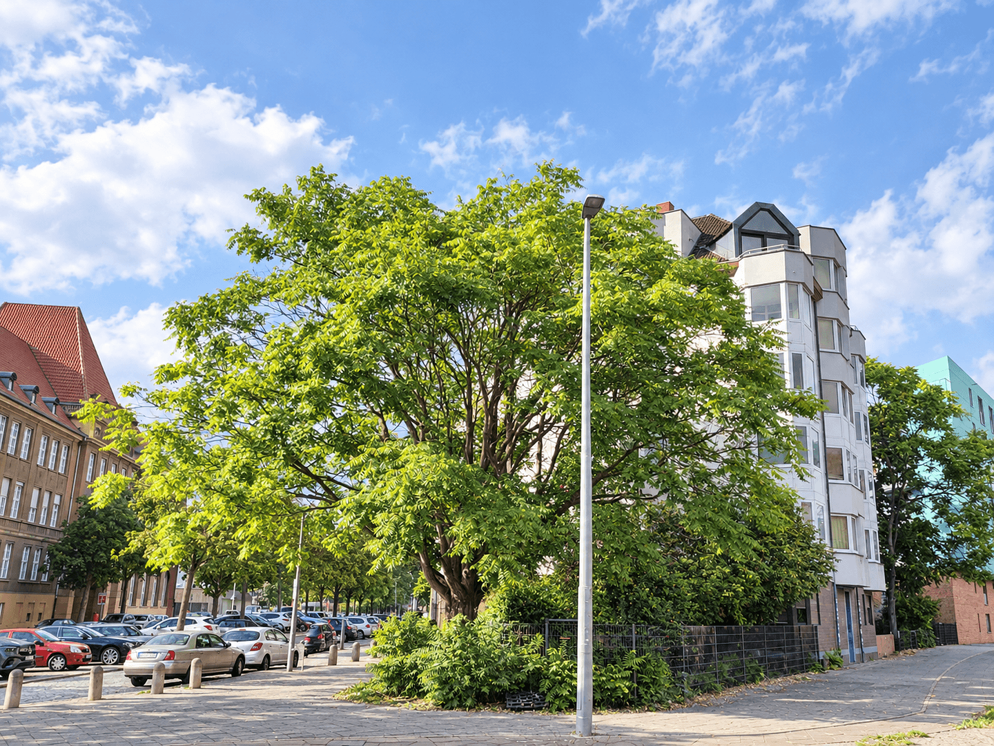Predaj bytu 3-izbový 92 m², Münsinger Straße 4, Berlin, Berlín Predaj bytu 3-izbový 92 m², Münsinger Straße 4, Berlin, Berlín