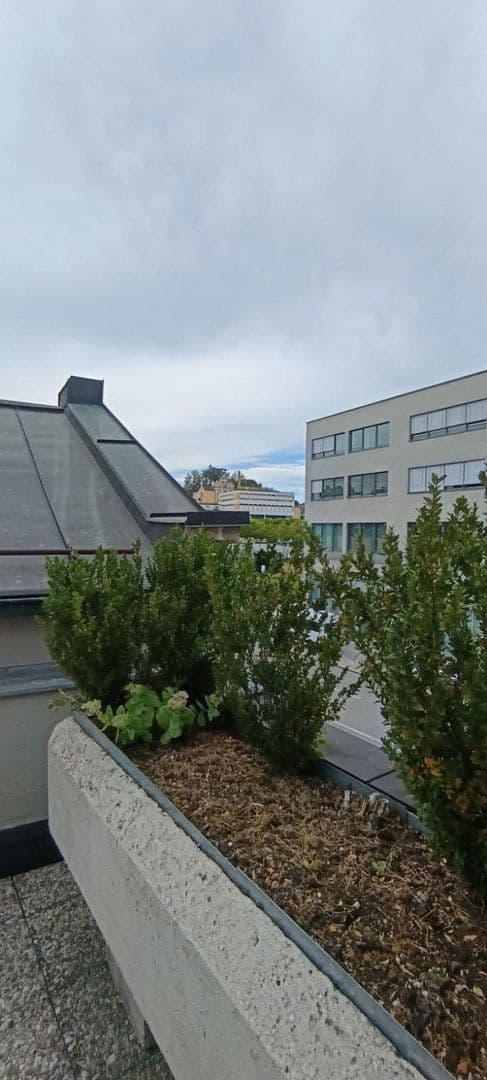 Prenájom bytu 4-izbový 125 m², Kleiner Exerzierplatz 4, Passau, Bavorsko Prenájom bytu 4-izbový 125 m², Kleiner Exerzierplatz 4, Passau, Bavorsko