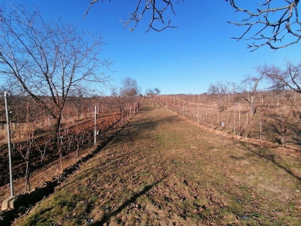 Predaj pozemku 2.596 m², Bzenec, Jihomoravský kraj Predaj pozemku 2.596 m², Bzenec, Jihomoravský kraj