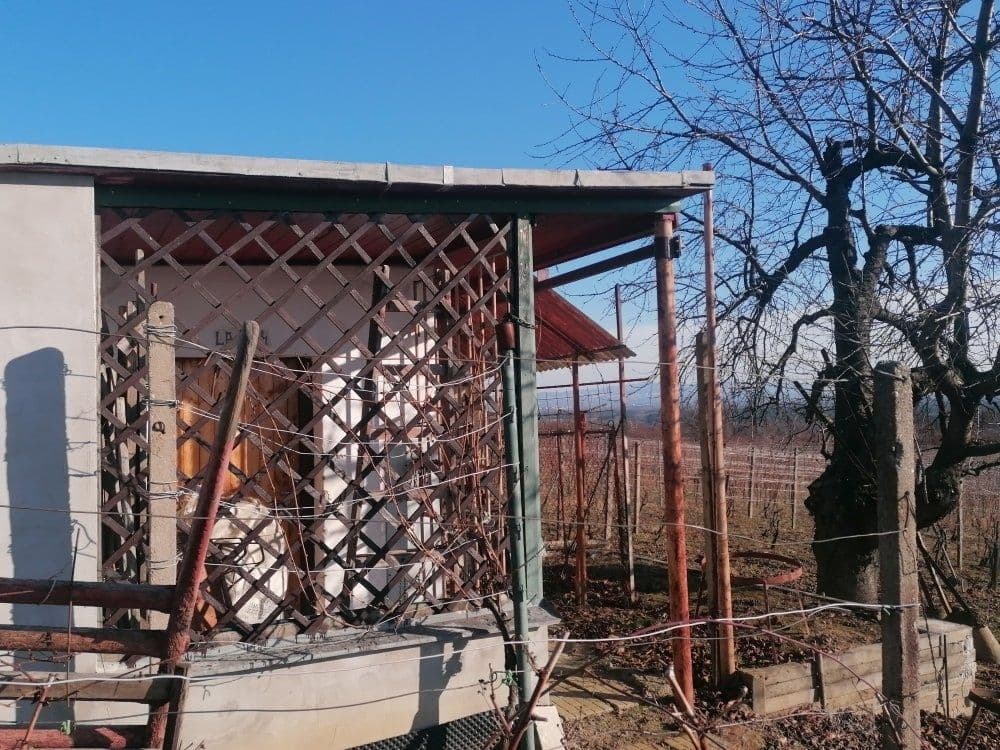 Predaj pozemku 2.596 m², Bzenec, Jihomoravský kraj Predaj pozemku 2.596 m², Bzenec, Jihomoravský kraj