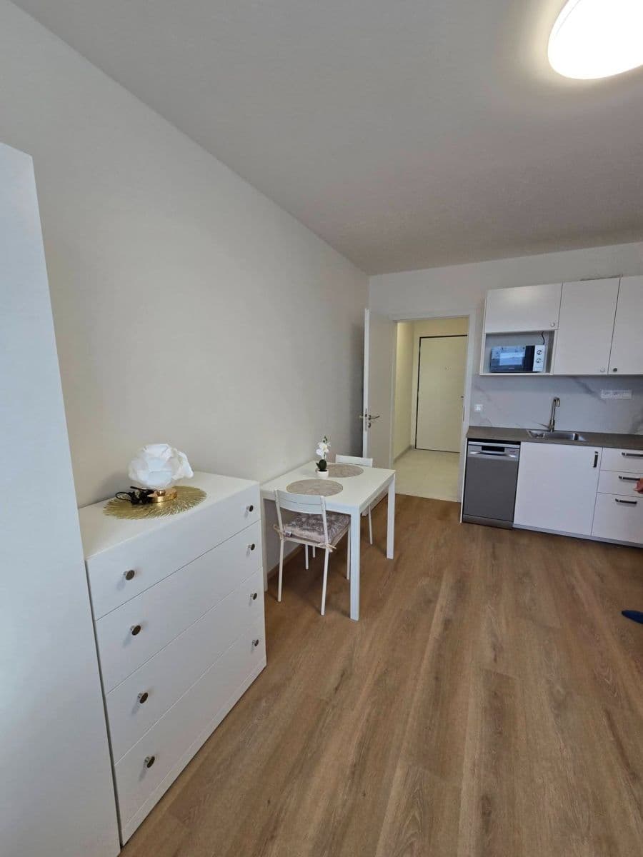 Prenájom bytu 1-izbový 26 m², Za Novákovou zahradou, Praha, Praha Prenájom bytu 1-izbový 26 m², Za Novákovou zahradou, Praha, Praha