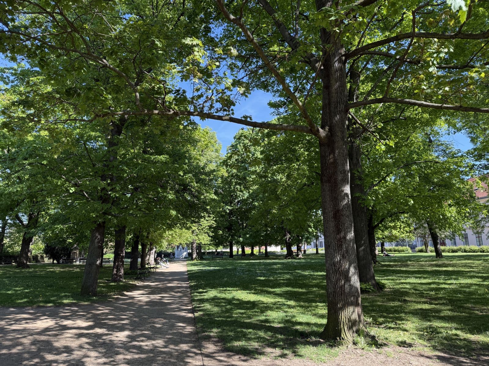 Prenájom bytu 98 m², Hostivítova, Praha, Praha Prenájom bytu 98 m², Hostivítova, Praha, Praha